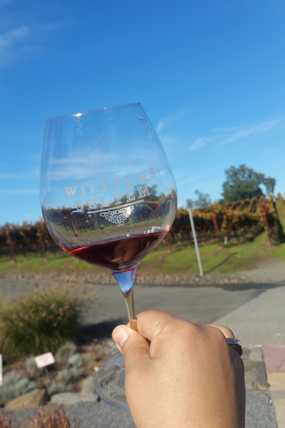 Wine Tour Services - Executive Charters & Limousine of santa rosa